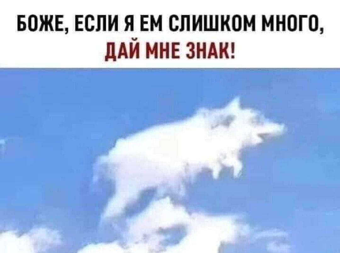 вожв Если я вм слишком много дАЙ мн зимы