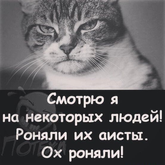 на некоторых людей Роняли их аисты Ох роняли