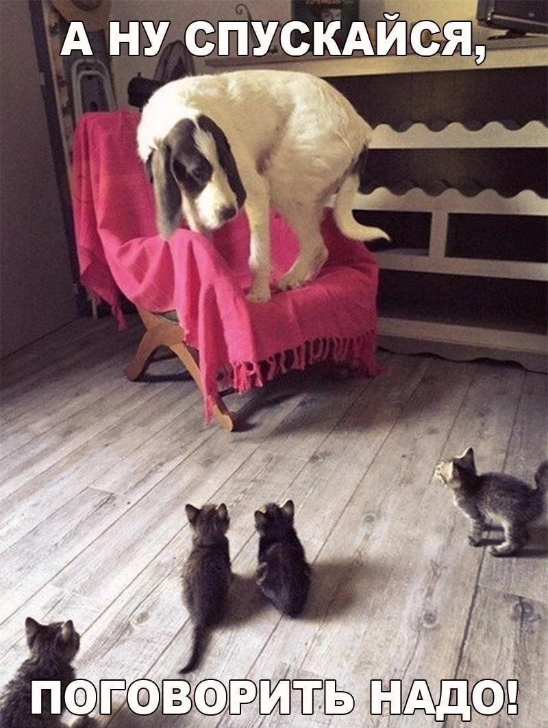 А ну спускдйеяд