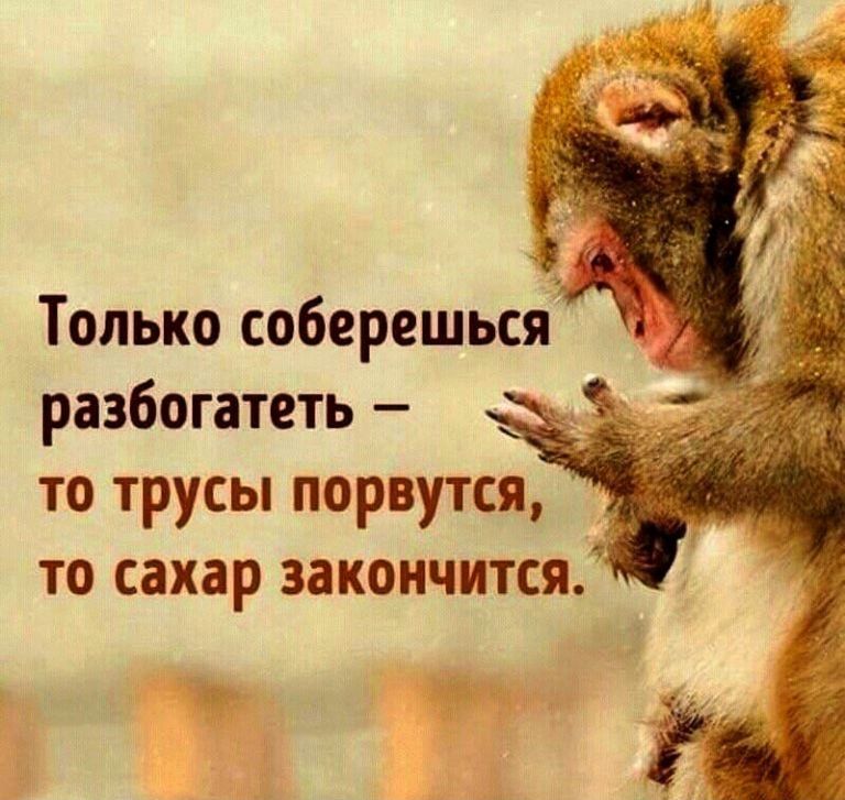Только соберешься разбогатеть _ то трусы порвутся то сахар закончится