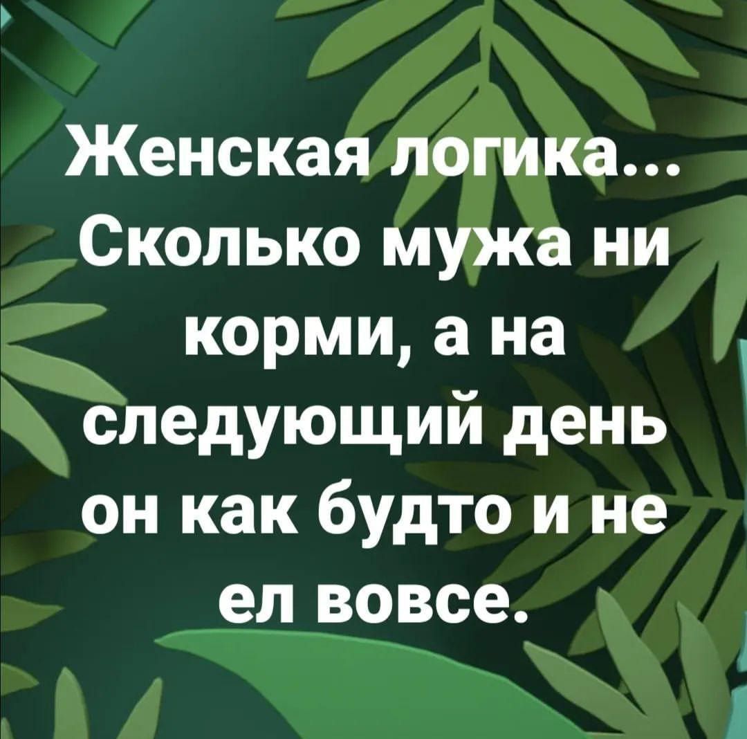 Женская логика Сколько мужа ни корми а на следующии день он как будто и не ел вовсе