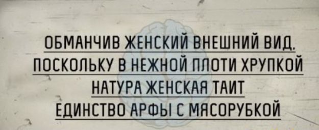 ОБМАНЧИВ ЖЕНСКИЙ ВНЕШНИЙ ВИД ПОСКОЛЬКУ В НЕЖНОИ ПППТИ ХРУПКПИ НАТУРА ЖЕНСКАЯ ТАИТ ЕДИНСТВО АРШЫ С МНСОРУБКПИ
