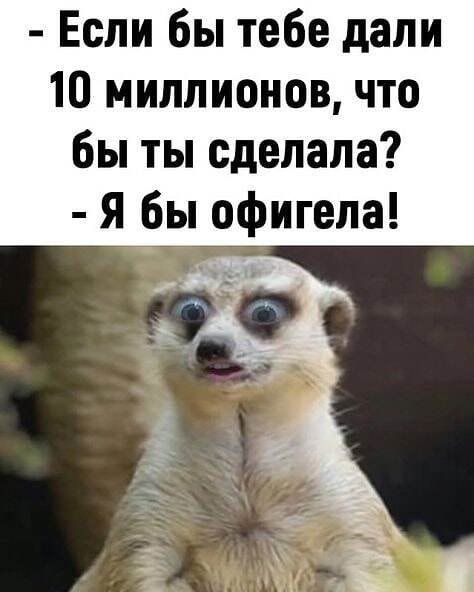 Если бы тебе дали 10 миллионов что бы ты сделала я бы офигела