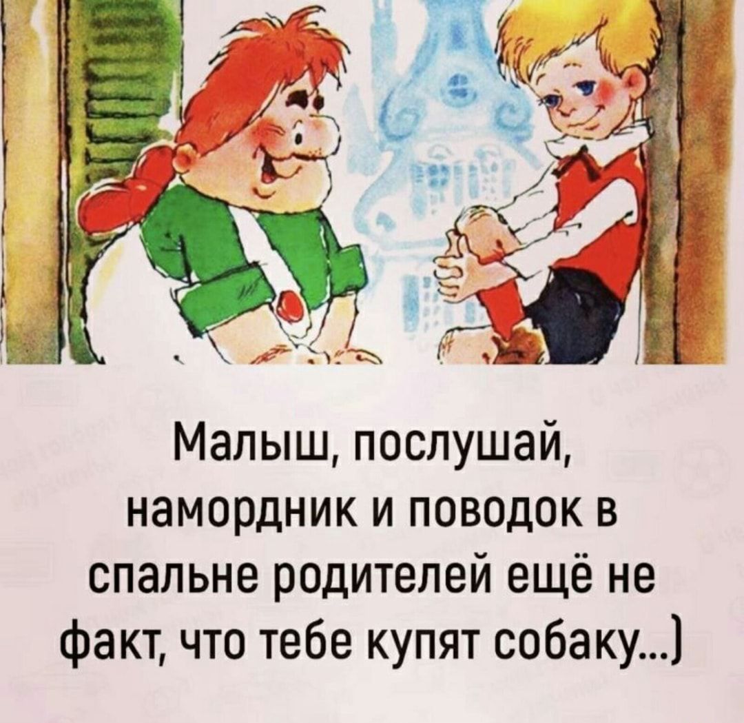 Малыш послушай намордник и поводок в спальне родителей ещё не факт что тебе купят собаку