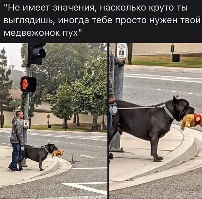 Не имеет значения насколько круто ты выглядишь иногда тебе просто нужен твой медвежонок пух