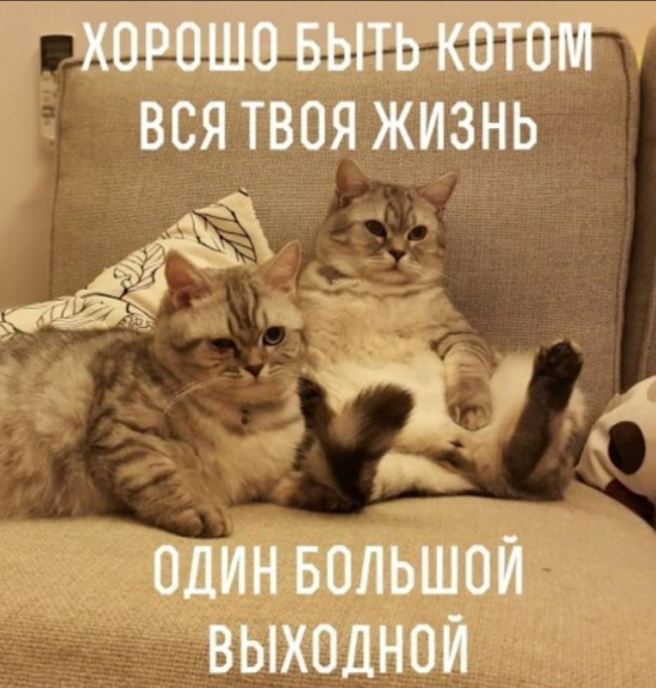 ВСЯ ТВОЯ ЖИЗНЬ ВЫХОДНОЁ