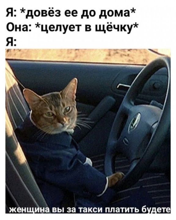 Я довёз ее до дома Она цепует в щёчку 5 1 1 0Т