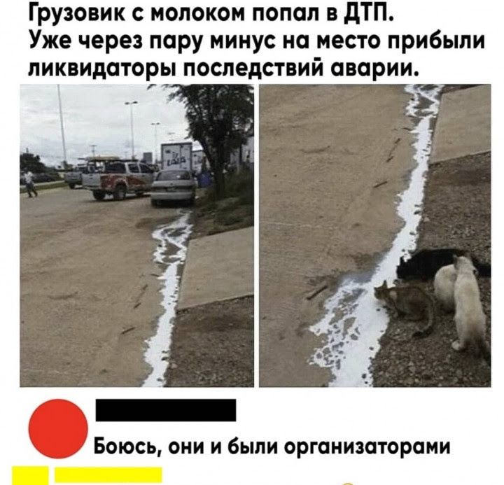 Грузовик молоком попал дТП Уже через пару минус на место прибыли ликвидаторы последствий аварии Боюсь они и были организаторами _