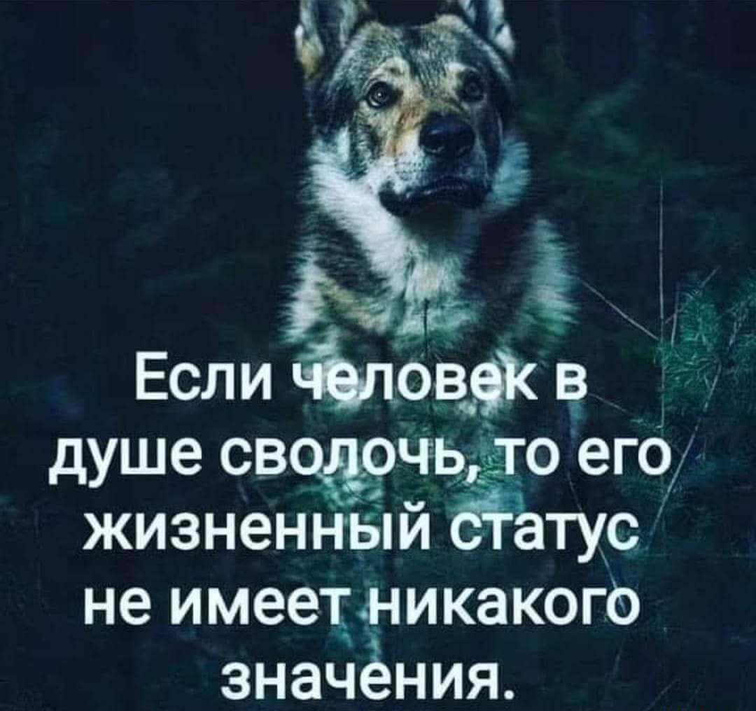 душе свцёчь о его жизненный атус не имеетдникакого значёния