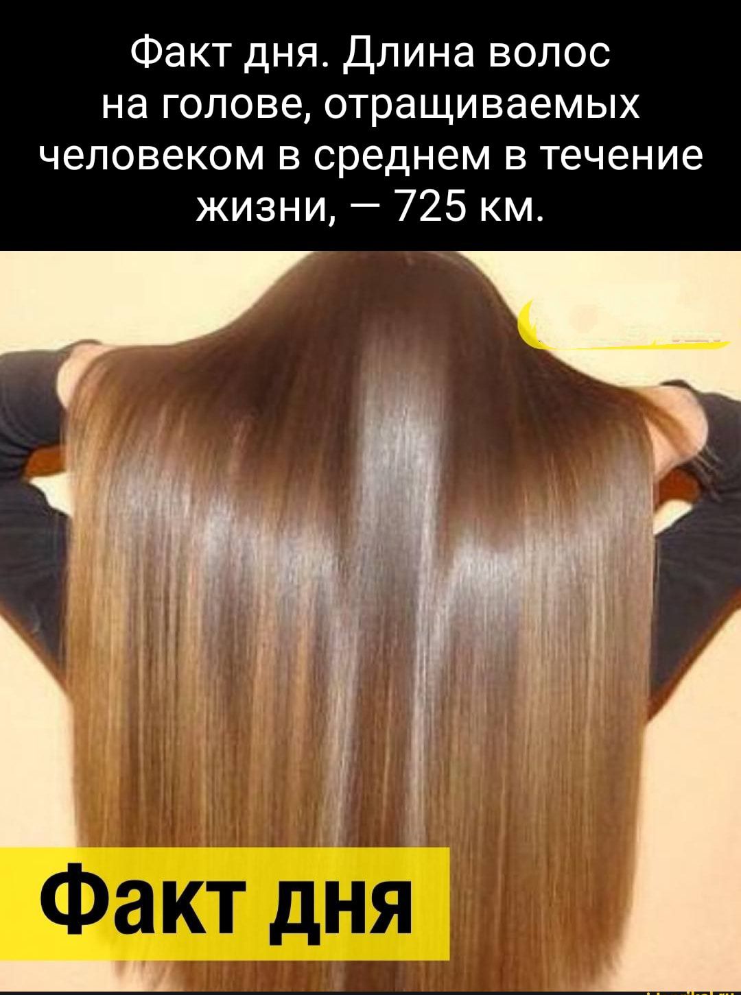 Факт дня Длина волос на голове отращиваемых человеком в среднем в течение жизни 725 км