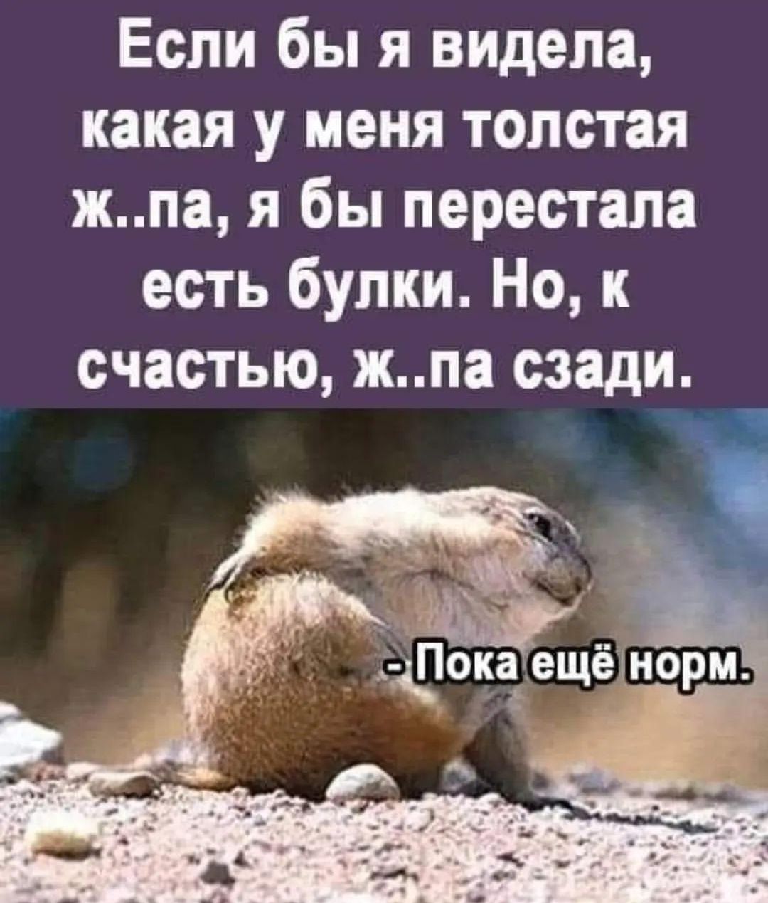 Если бы я видела какая у меня толстая жпа я бы перестала есть булки Но к счастью жпа сзади Фока ещё
