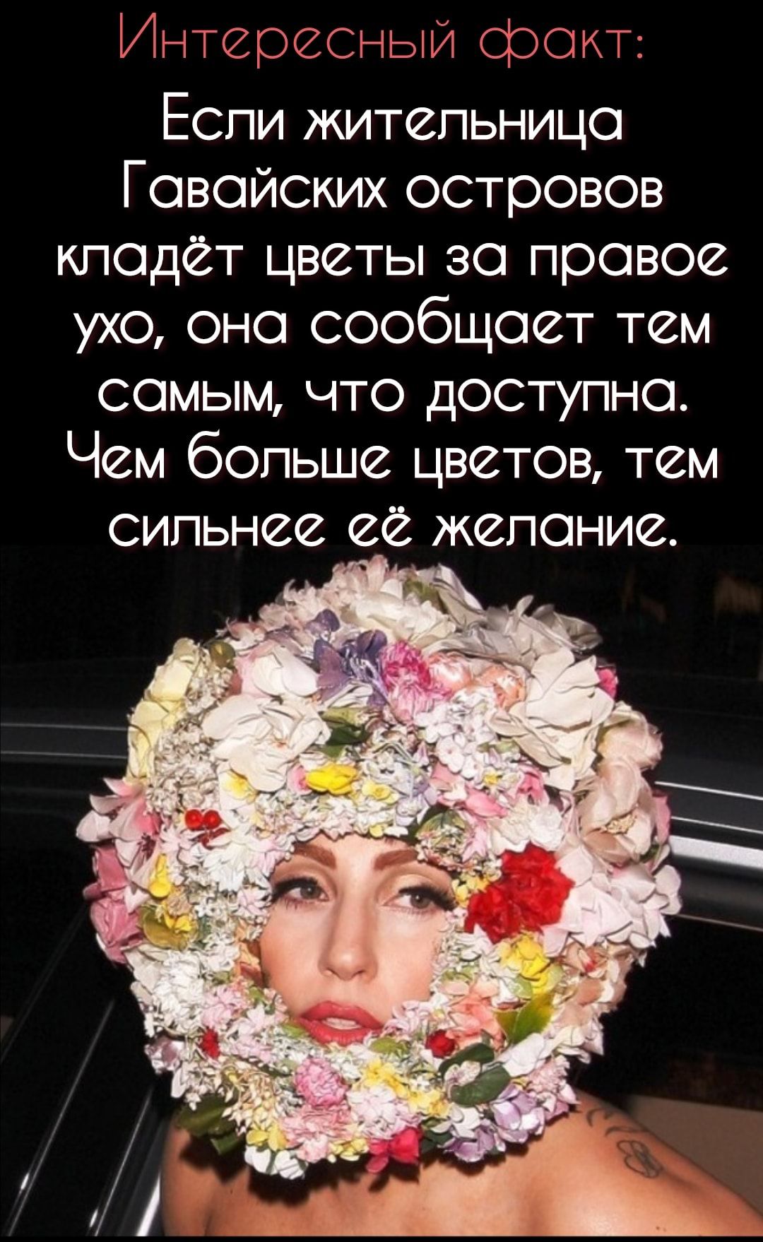 Интересный факт Еспи жительница Гавайских островов кладет цветы за правое ухо она сообщает тем самым что доступна Чем больше цветов тем сильнее ее желание