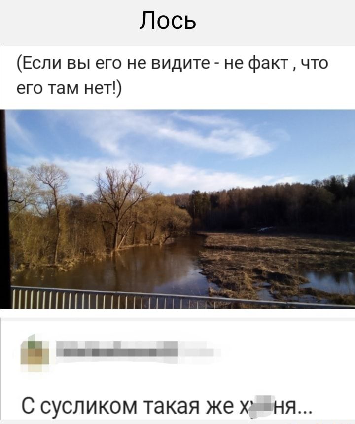 Лось Если вы его не видите не факт что его там нет нцп С СУСЛИКОМ такая же Х НЯ