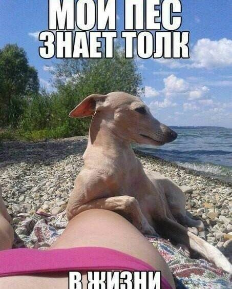 ВШИЗНИ