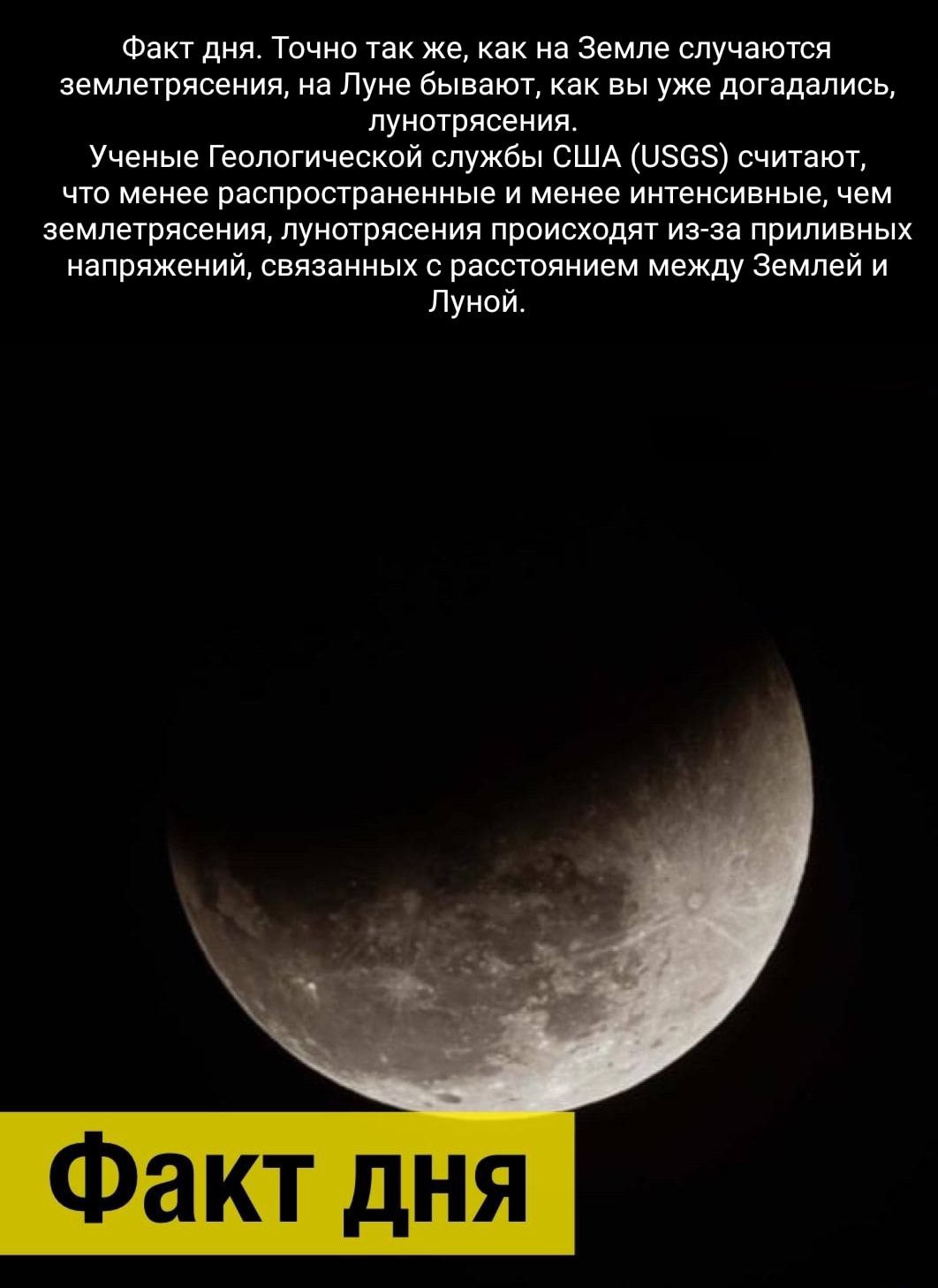 Факт дня Тични так же на Земле случнютсл землетрясения на Луне бывают как вы уже догадались пунотрясения Ученые Геологический службы США изсэ считают что менее распространенные и менее интенсивные чем еемлетряеения пунотрясения прписходят има приливных напряжений связанных е расстяиием между землей и луной Факт дня