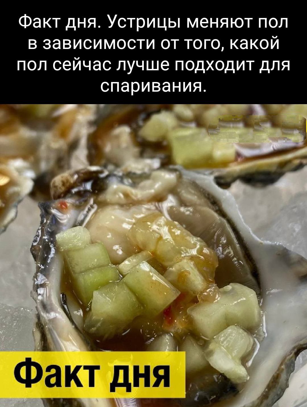 Факт дня Устрицы меняют пол в зависимости от того какой пол сейчас лучше подходит для спаривания Факт ли И