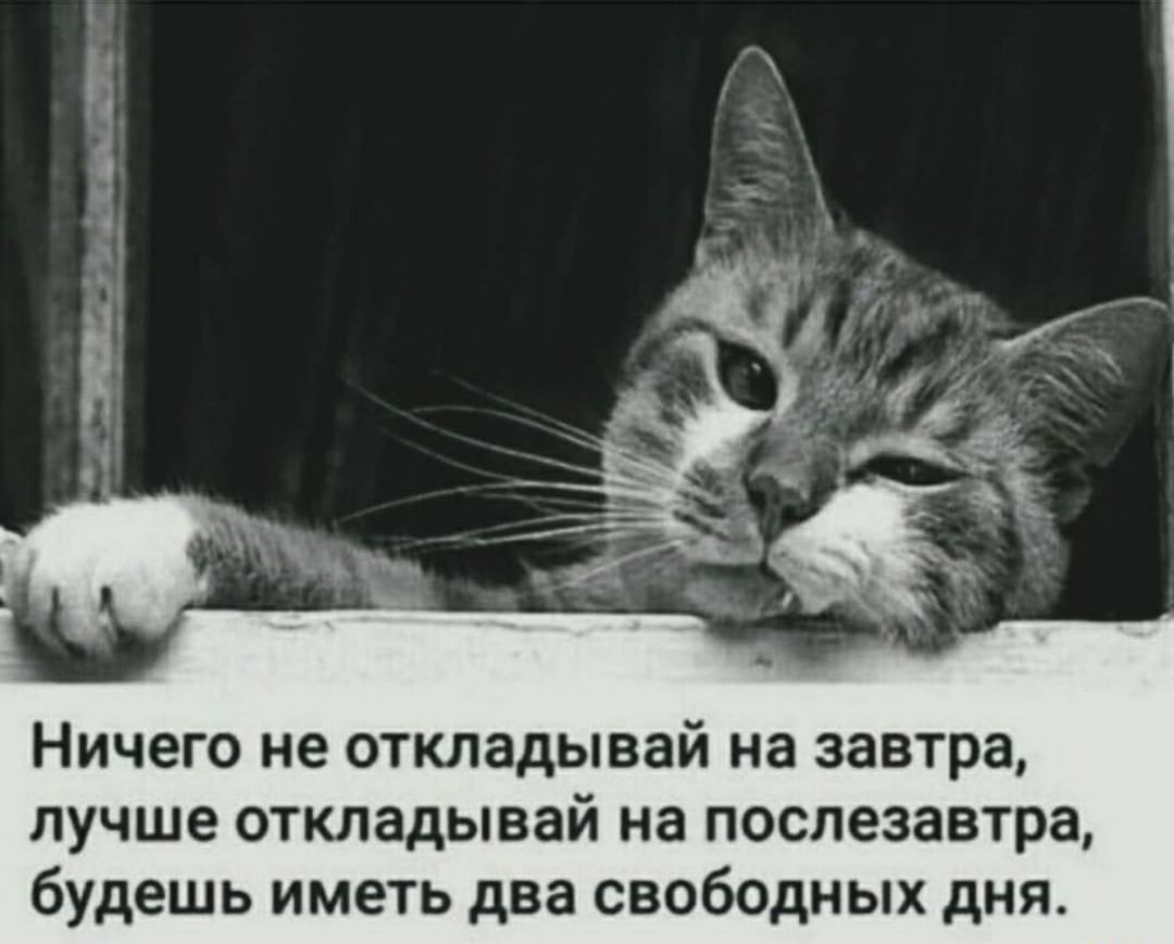 Ничего не откладывай на завтра лучше откладывай иа послезавтра будешь иметь два свободных дня