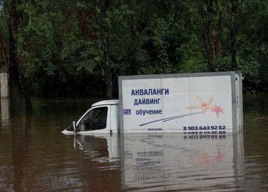 ливдмми ддивииг 519