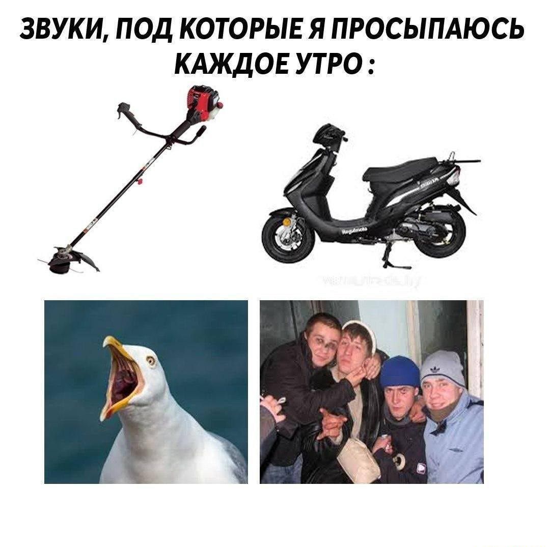 ЗВУКИ ПОД КОТОРЫЕ Я ПРОСЫПАЮСЬ КАЖДОЕ УТРО