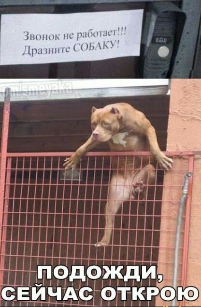 свичдс откгэю