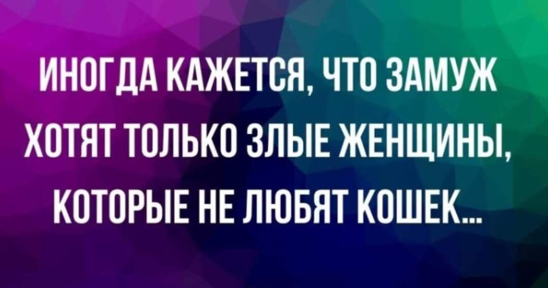 ИН0ГЦА КАЖЕТСЯ чм ХОТЯТ ТОЛЬКП ЗЛЫЕ ЖЕНЩИНЫ КОТПРЫЕ НЕ ЛЮБЯТ КОШЕК