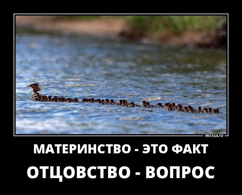 мдтвринство это ФАКТ отцовство ВОПРОС