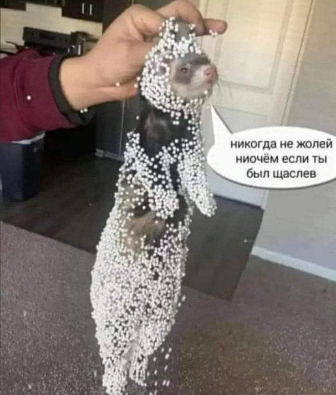 мнит11 жит мшшм ы бы И щ пен