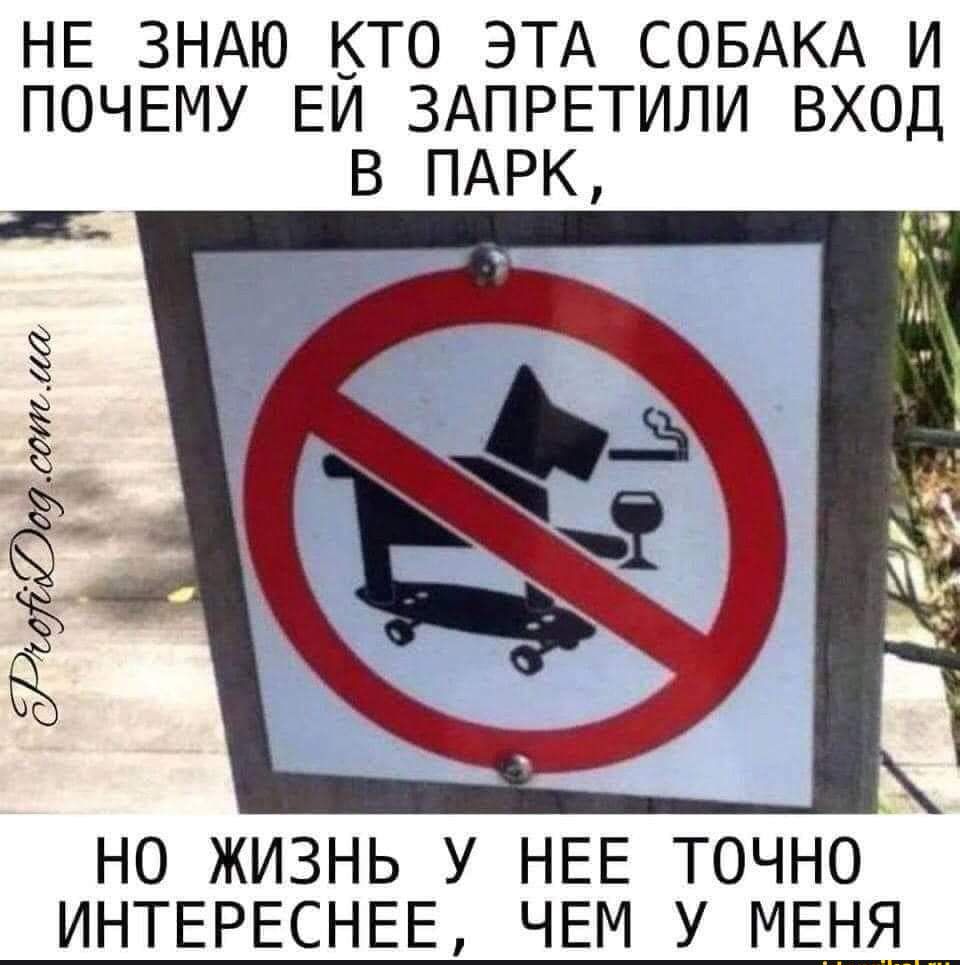 НЕ ЗНАЮ КТО ЭТА СОБАКА И ПОЧЕМУ ЕИ ЗАПРЕТИЛИ ВХОД В ПАРК ЯдыЮфит аа НО ЖИЗНЬ У НЕЕ ТОЧНО ИНТЕРЕСНЕЕ ЧЕМ У МЕНЯ__