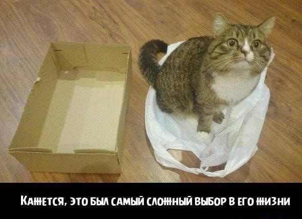 АНЕКИ 310 Б И ШИМ 1550 ЕГО