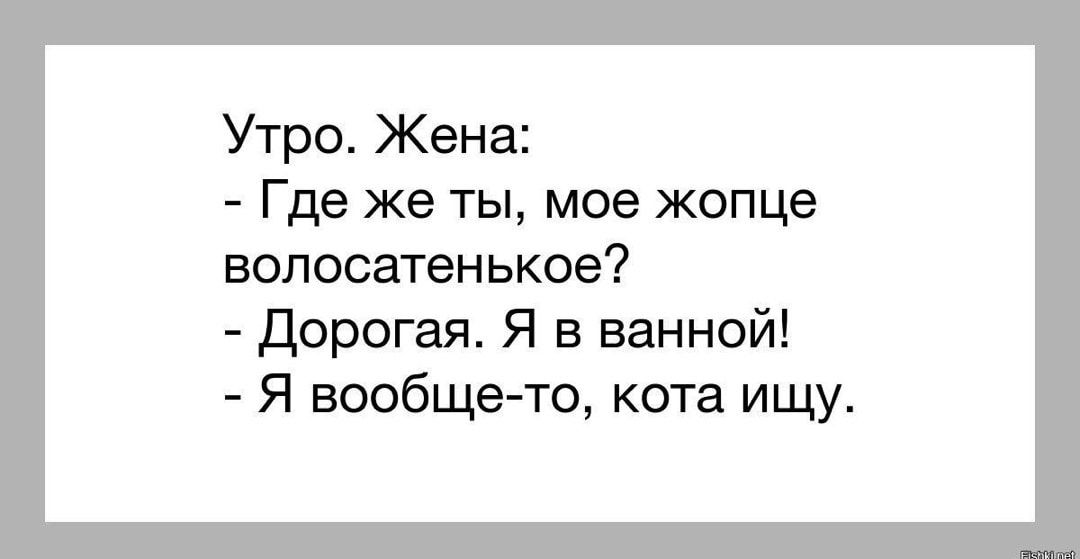 Утро Жена Где же ты мое жопце волосатенькое дорогая Я в ванной Я вообще то кота ищу