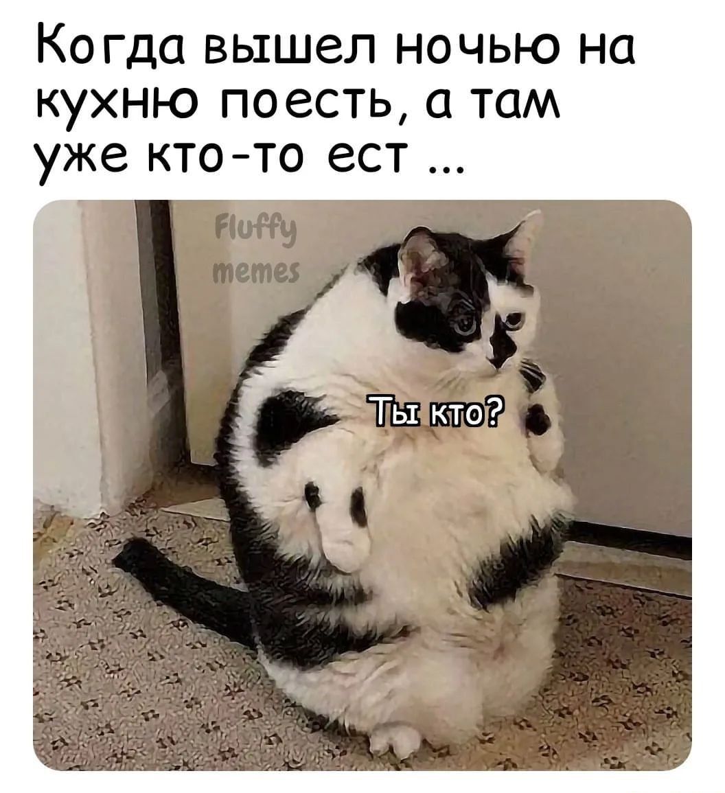 когда вышел НОЧЬЮ на кухню ПОЗСТЬ 0 ТОМ уже КТОТО ест Ты кто Ч