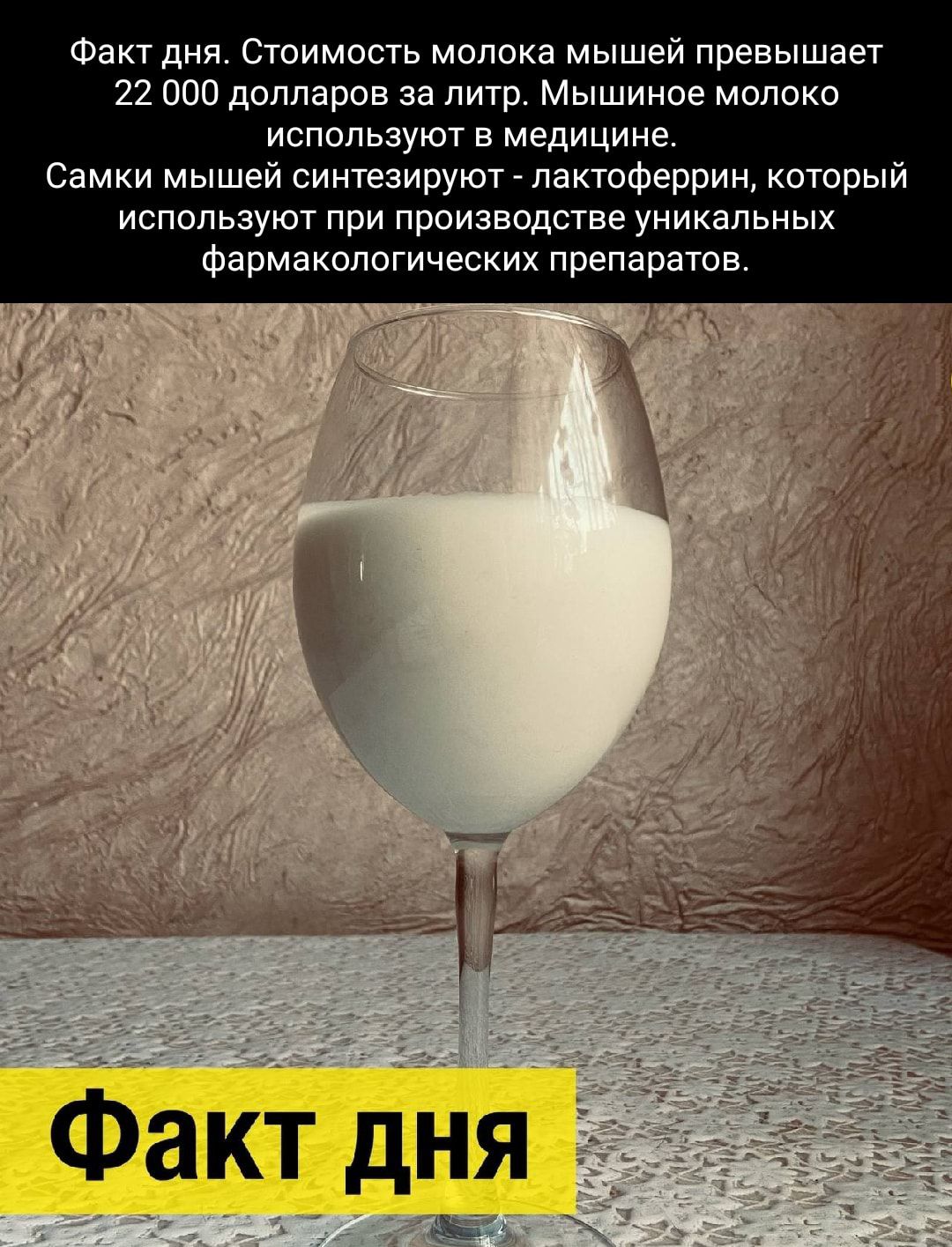 Факт дня Стоимость молока мышей превышает 22 000 долларов за литр Мышиное молоко используют в медицине Самки мышей синтезируют пактоферрин который используют при производстве уникальных фармакологических препаратов Факт дня а д