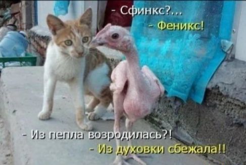 __1112113 И пг ОВКИ Сбе Из дЭ