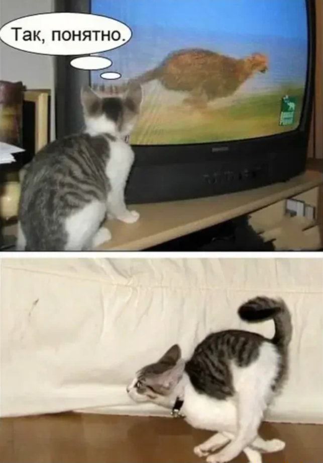 ЭК ПОНЯТНО