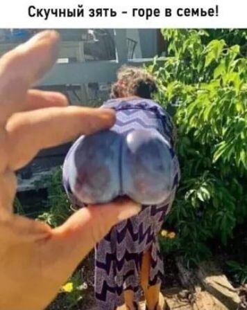 а х Г Г а е 5 Н Е 4