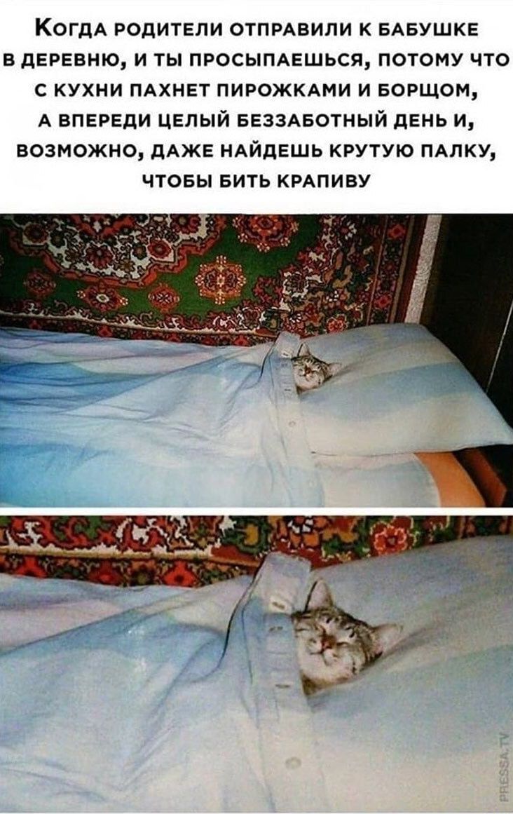 КОГДА РОДИТЕЛИ отПРАвипи БАБУШКЕ в дЕРЕвню И ты ПРОСЫПАЕШЬСЯ потому что с кухни пАхнвт ПИРОЖКАМИ и БОРЩОМ А ВПЕРЕДИ ЦЕЛЫЙ БЕЗЗАБОТНЫЙ дЕиь и возможно дАЖЕ НАйдЕшь крутую пдлку ЧТОБЫ Бить КРАпиву