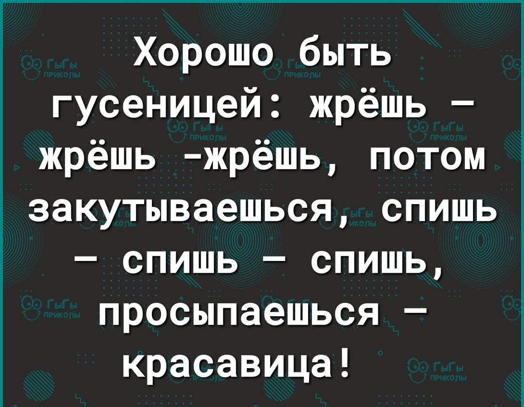 1 Хорошо быть гусеницей жрёшь жрёшь жрёшь потом закутываешься спишь спишь спишь просыпаешься красавица