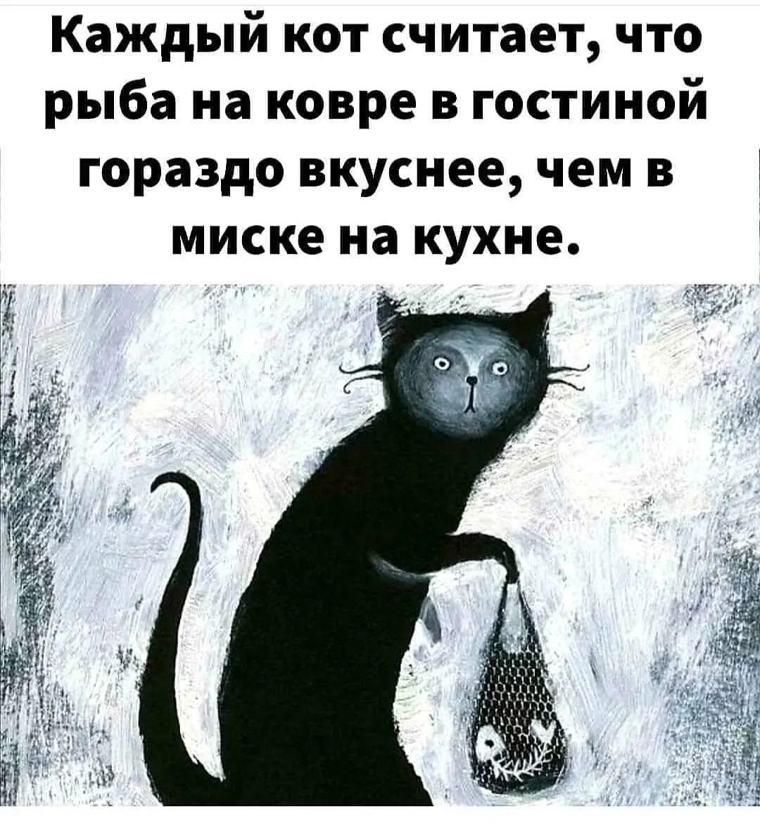 Каждый кот считает что рыба на ковре в гостиной гораздо вкуснее чем в миске на кухне узы
