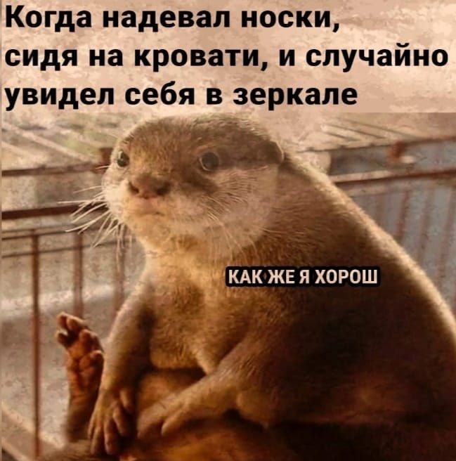 Когда надевал носки сидя на кровати и случайно увидел себя в зеркале