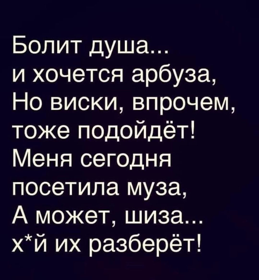 Болит душа и хочется арбуза Но виски впрочем тоже подойдёт Меня сегодня посетила муза А может шиза хй их разберёт