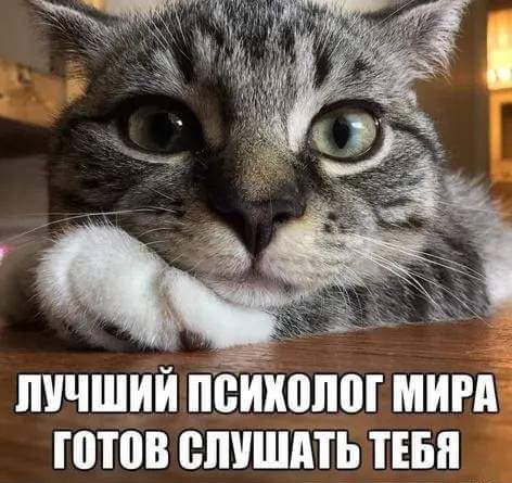 ЛУЧШИЙ ПЁШШПШ МИМЁ ППВ СЛУШАТЬ ТЕБЯ