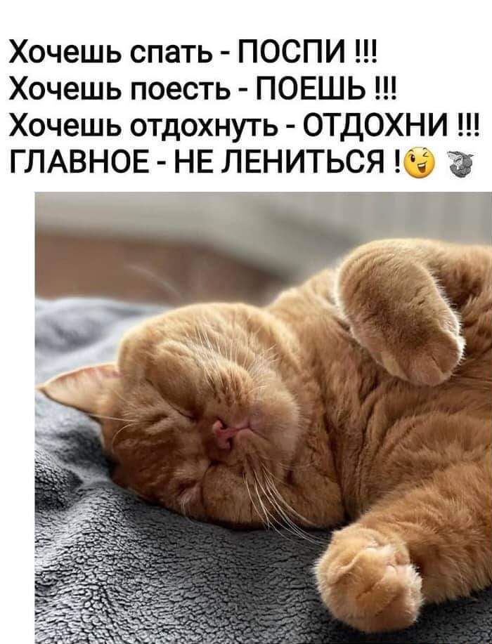 Хочешь спать ПОСПИ Хочешь поесть ПОЕШЬ Хочешь отдохнуть ОТДОХНИ ГЛАВНОЕ НЕ ЛЕНИТЬСЯ б