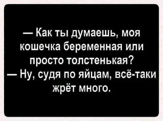 Как ты думаешь моя кошечка беременная или просто толстенькая Ну судя по яйцам всё таки жрёт много
