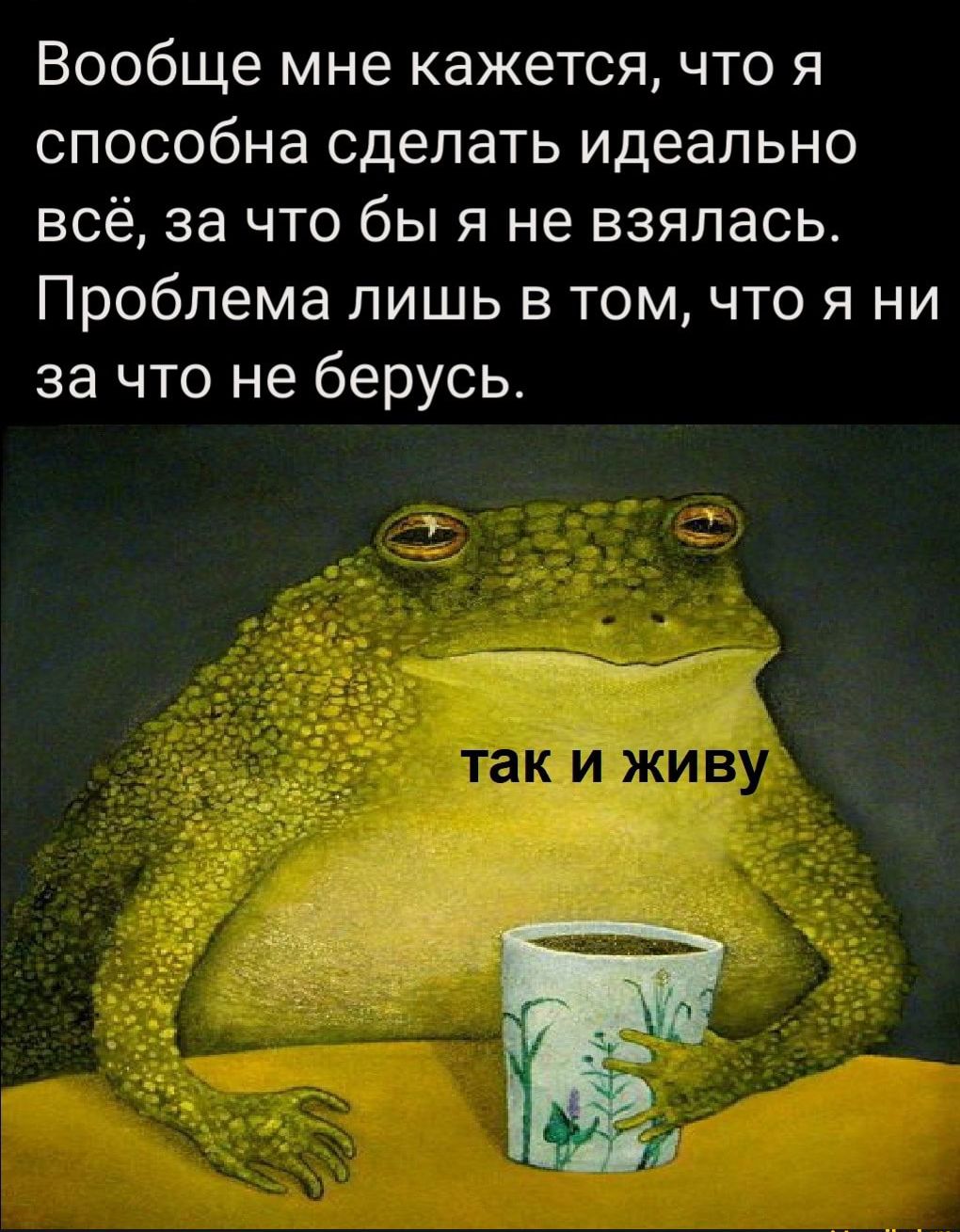 Вообще мне кажется что я способна сделать идеально всё за что бы я не взялась Проблема лишь в том что я ни за что не берусь