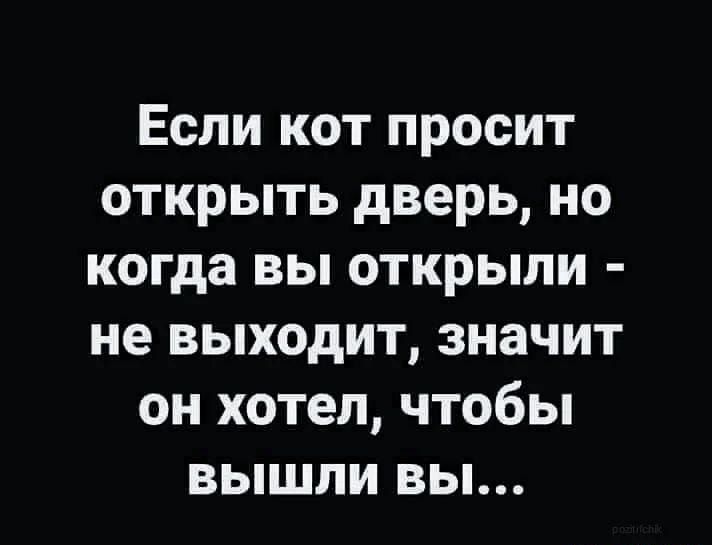 Если кот просит открыть дверь но когда вы открыли не выходит значит он хотел чтобы вышпи вы