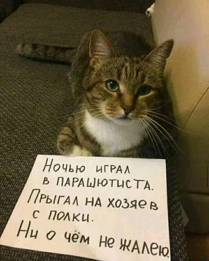 Ночью игры ПАРАШЮТЦСТА ЛРыгм НА хозяев С Полки