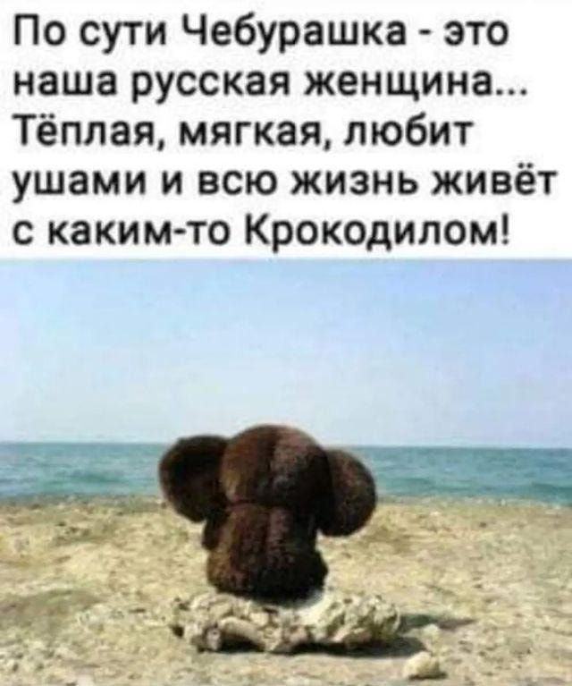 По сути Чебурашка это наша русская женщина Тёплая мягкая любит ушами и всю жизнь живёт с каким то Крокодипом