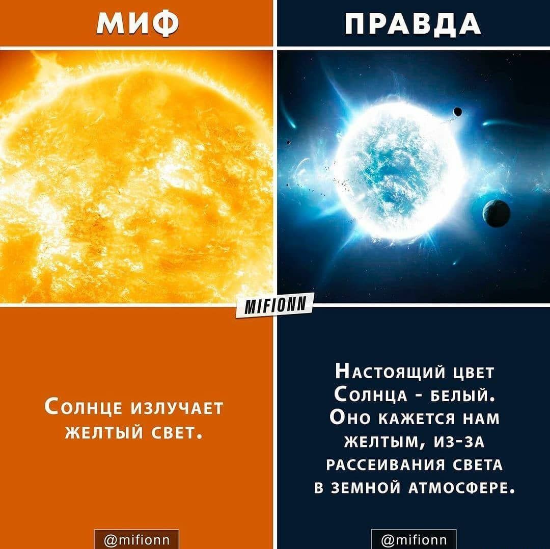 Сонник излучдп мыши свит мшп ПРАВДА Ндпоящии цвет Солнцд БЕЛЫЙ Оно кджнся мдм жвптым из п гксіиыния саги в згмнои матан