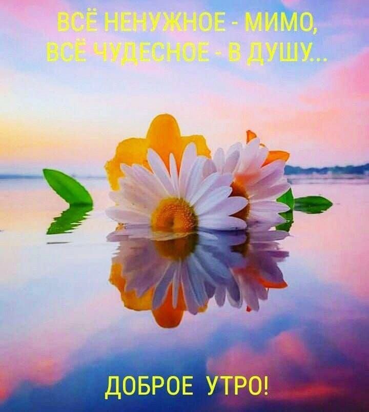 ДОБРОЕ УБ