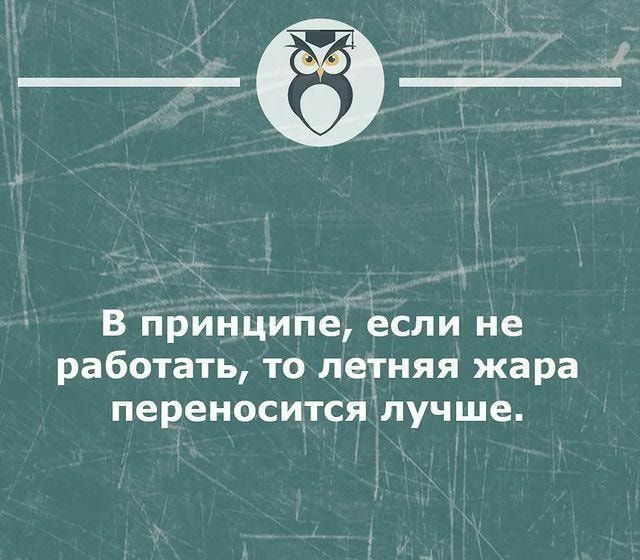 В принципе если не работать то летняя жара переноситсялучше штгцв стнцмов _